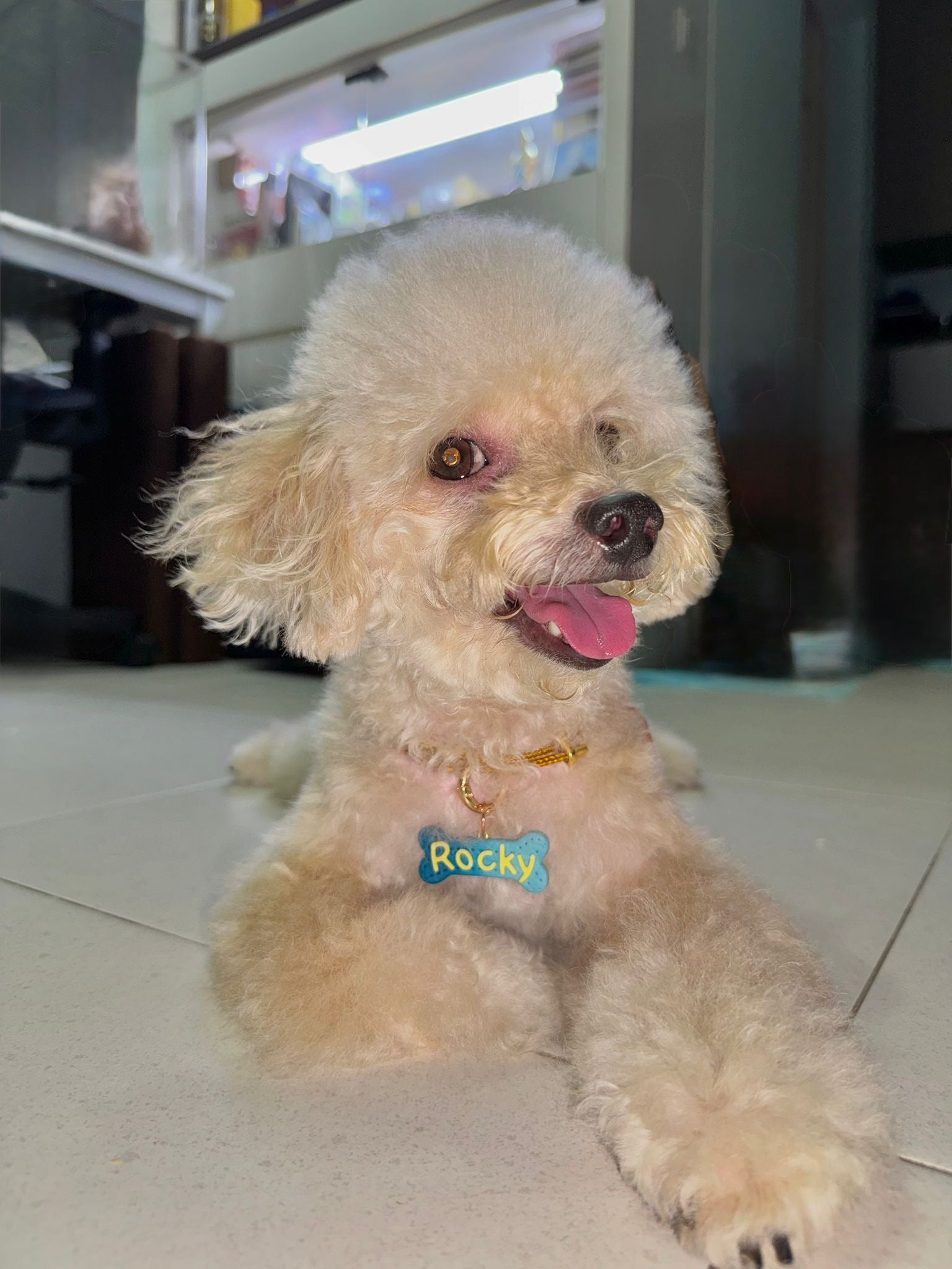 A089. Pawfect collar tags workshop
